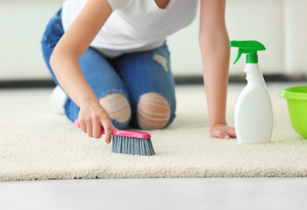 Top 5 New Ideas You Can Use To Keep Your Carpet Clean