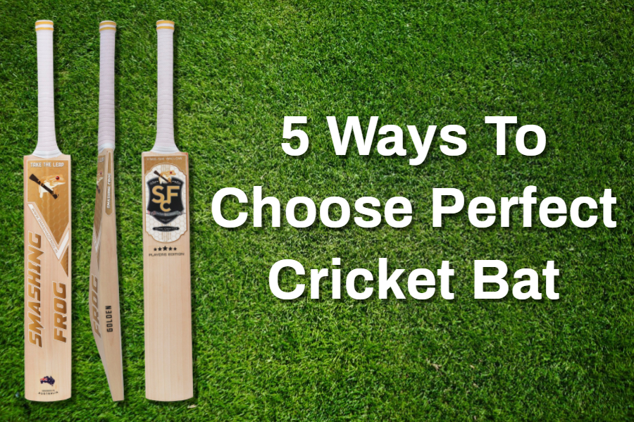 Comprehensive Guide On Selecting An Ideal Cricket Bat