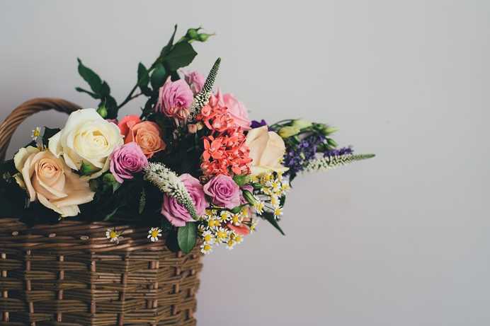 What Cheap Online Florists Do in a Beautiful Floral World