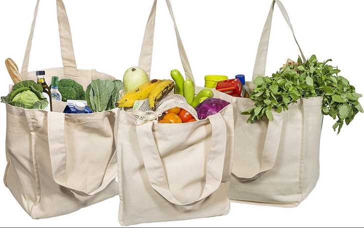 Reuse Grocery Bags Multiple Times To Save The Environment