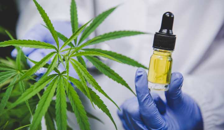 What Minor Cannabinoid Is Found To Have 10x The Antidepressant Effects Of CBD?