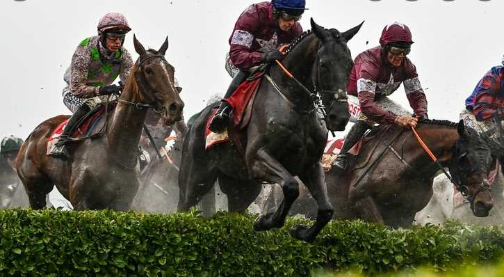 Why to bet on the Grand National