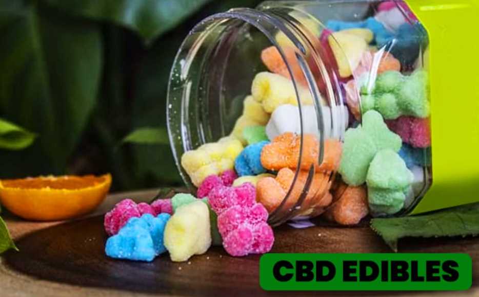 10 Questions You Should Ask Before Buying CBD Edibles