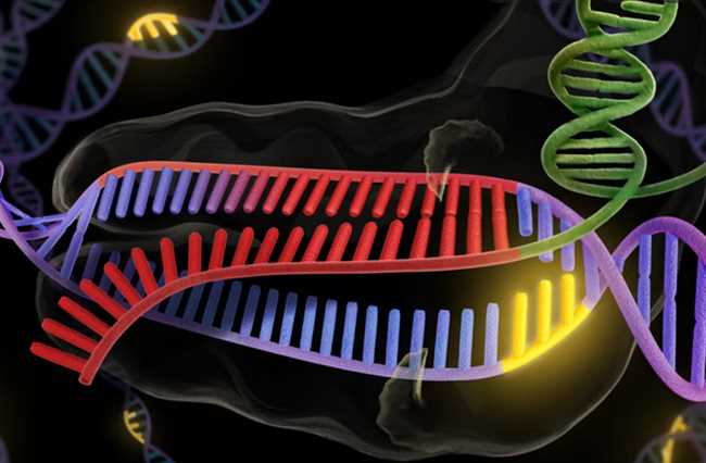 CRISPR Gene Editing Raises Challenging Ethical Questions