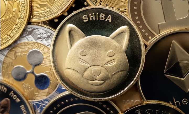 Meme Coins That Can Outperform Shiba Inu