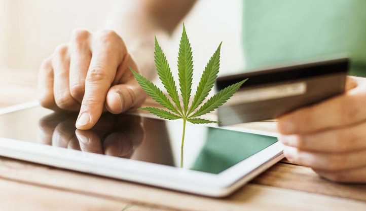 What Canadians Need to Know to Know Before Buying CBD Oil Online