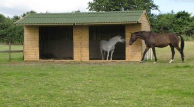 How To Choose The Right Mobile Field Shelter For Your Horse