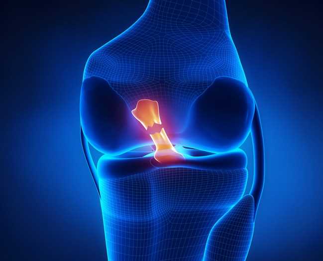 Effective Methods To Help You Fully Recover From An ACL Tear