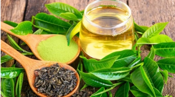 Benefits of Green Tea Extract