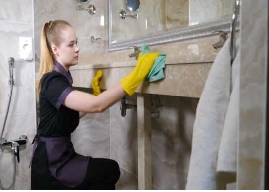 Cost of Professional Cleaning Services