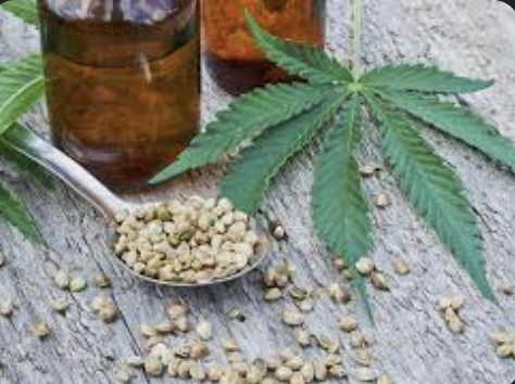 CBD products: facts and myths about their effect on human health