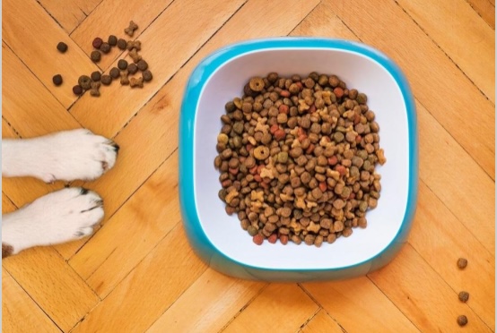 Emerging trends in the pet food industry every pet owner should know about