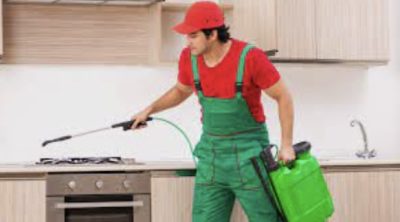How to Choose the Right Pest Control Company?