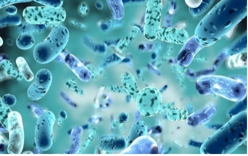 The Role of Probiotics in Boosting Immune Function