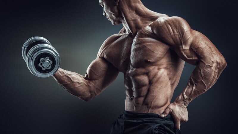 Crucial Trenbolone Enanthate Half-Life: Must-Know Details