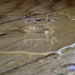 6 Top Causes of Potential Water Leaks Your Plumber Wants You to Be Aware of